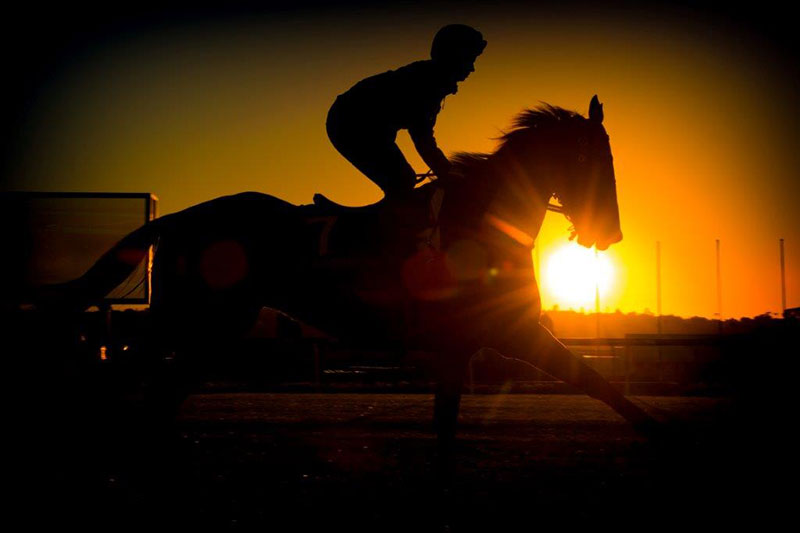 horse-riding-dusk.jpg